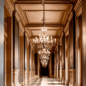 LK988 Greyhound Racing